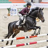 КОБЫЛА В КОНКУР И ВЫЕЗДКУ