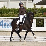 ЖЕРЕБЕЦ НА МП И СП