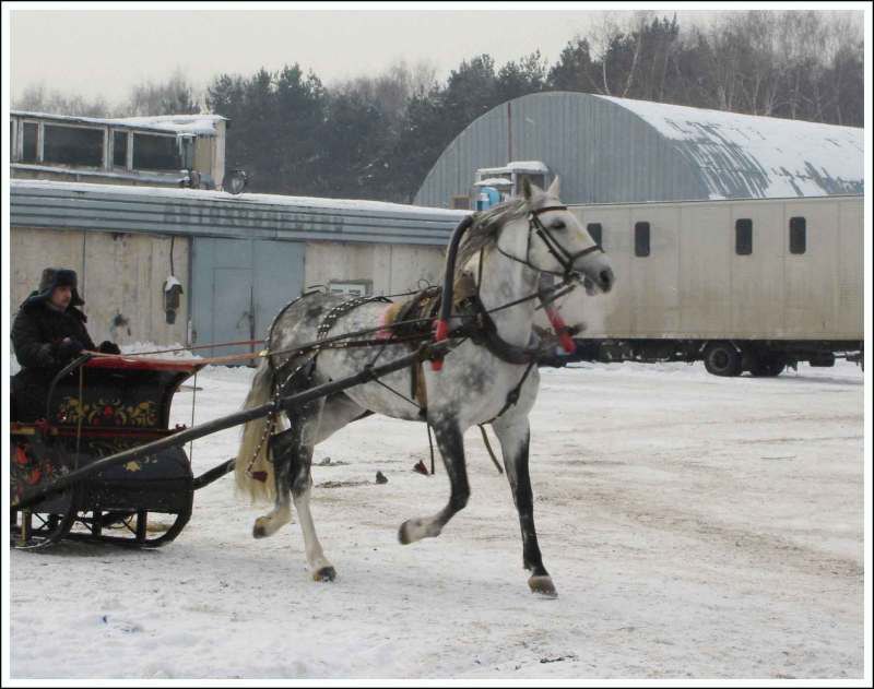 Разминочный  круг..