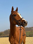 Маршруты 110, перспектива вы