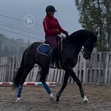 ГОТОВ НА ВСЕ ДЕТСКИЕ ЕЗДЫ