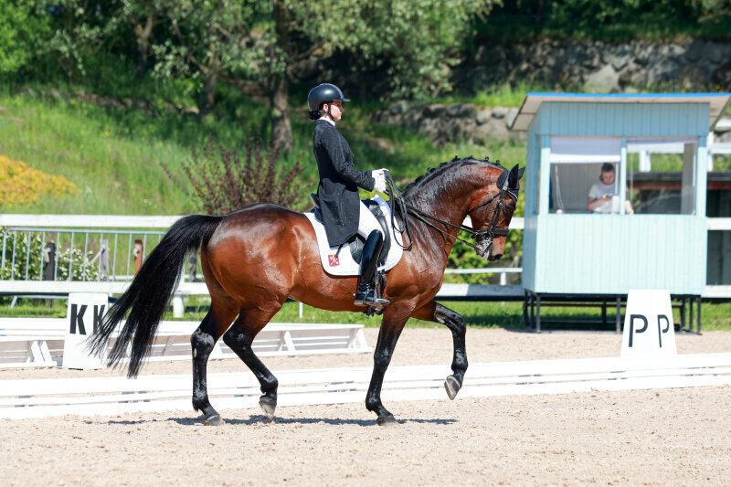ГЛЭДСТОУН ВДЛ-11 и Писарева Елизавета