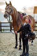 УЭЛЬСКАЯ ПОНИ