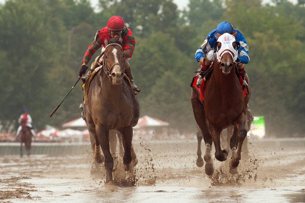 Ипподром Saratoga 2013 год. Скачка Woodward Stakes 