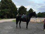 Конур маршруты 120+ см
