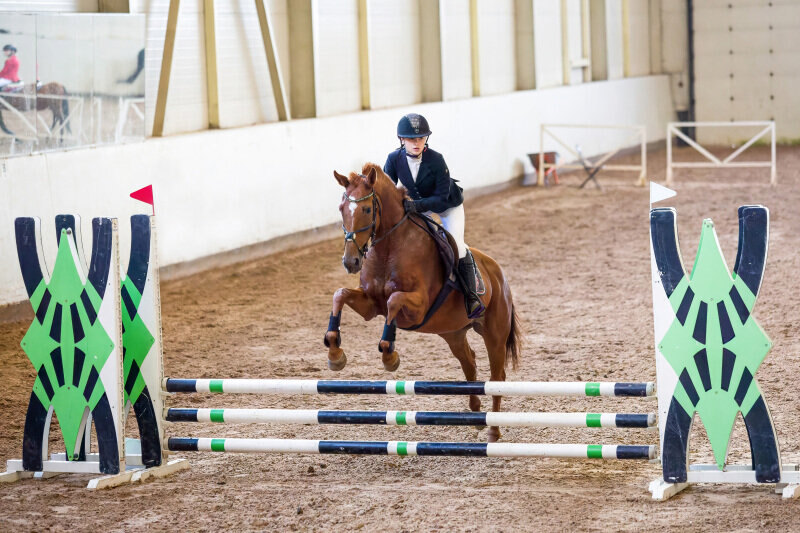 СТРОЙНАЯ ВЕРБА-16 и Ли Гермиона