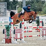 СТАРТОВЫЙ ОПЫТ ДО 130 СМ