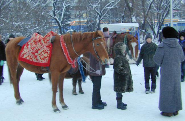 догадайся,почём катает лошадь?