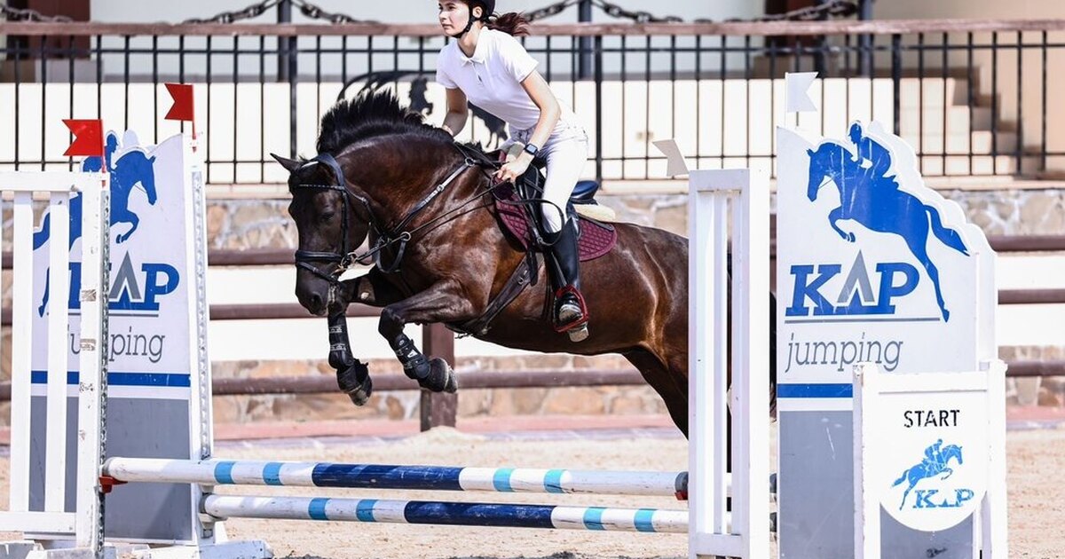 Игры конный спорт