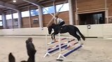 Кобыла