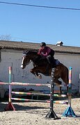 Маршруты 130+ см