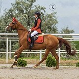 КОБЫЛА НА МАРШРУТЫ ДО 105 СМ