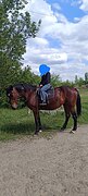 Таворга 