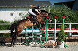 Учитель в конкур 