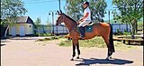 Классика Джаз Олимпийские 