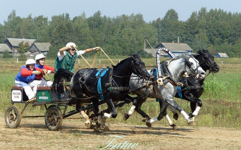 Беспризорник, Краков, Фрегат