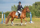 Абрикос