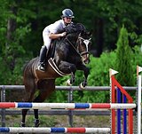 ВЫСОКИЙ ЖЕРЕБЕЦ В КОНКУР