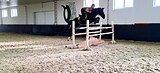 Мерин Император