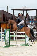 Маршруты 110 стабильно