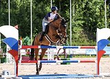 ВЫСОТНЫЙ ПОД РЕБЕНКА