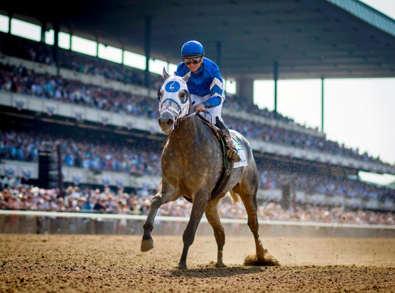 Ипподром Belmont Park, скачка Metropolitan Handicap (Gr. 1) 2016 год.