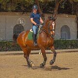 МЕРИН | ВЫЕЗЖЕН ДО СП 1