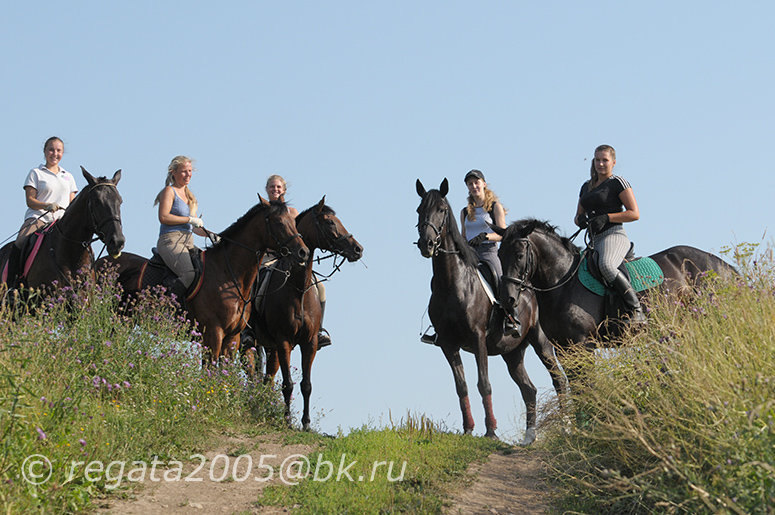 фото Регата