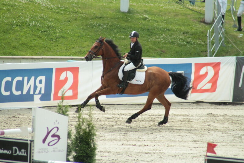 Ахметшин Амир и Замондо Монарх