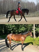 СРОЧНАЯ ПРОДАЖА • ПРЫГАЛИ