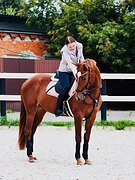 Конкурный мерин 