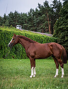 26.11-30.11 в Максиме