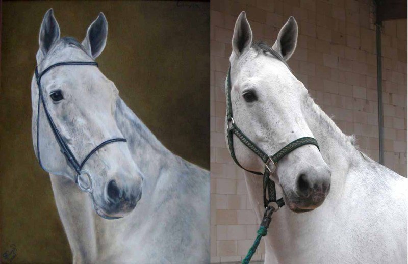 Пишу портреты лошадей маслом на холсте. (пример работы) Подробная информация на www.portret-animal.narod.ru