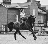 ВСЕ ЭЛЕМЕНТЫ ЮНОШЕЙ