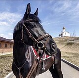 МАРШРУТЫ 130, ОТЛИЧНАЯ ЦЕНА