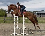 ВЫСОКИЙ МОЛОДОЙ В КОНКУР