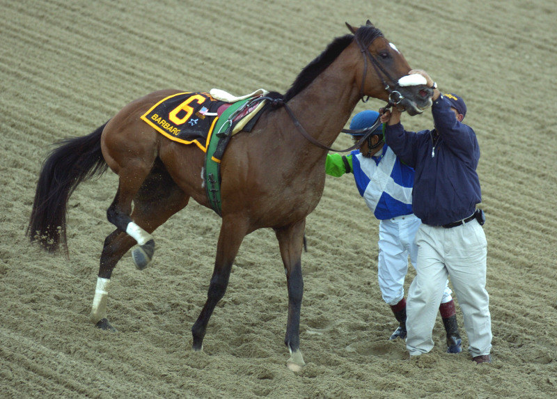 Ипподром Pimlico 2006 год, второй этап Тройной Короны - Preakness Stakes ,который стал последним забегом для жеребца.