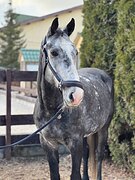 Универсальный