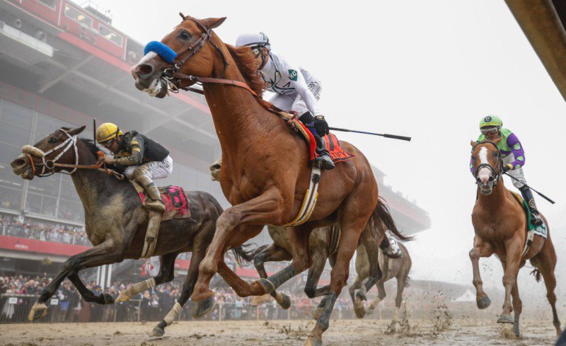 Ипподром Pimlico, второй этап ТК - Preakness Stakes.