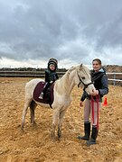 Уэльский пони, сектор "В"