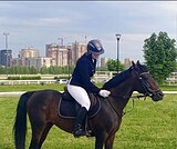 Пони-класс