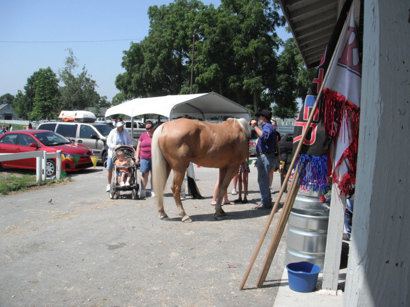 At the Lexington Kentucky Horse Park, Breyerfest in Kentucky, America. July 2012 