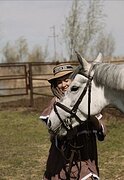 Кобыла в хобби/ матки