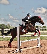 ИМПОРТНАЯ КОБЫЛА В МАТКИ