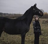 Крупная кобыла в матки 