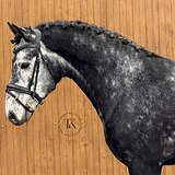 СЕРЫЙ ЖЕРЕБЕЦ 5 ЛЕТ