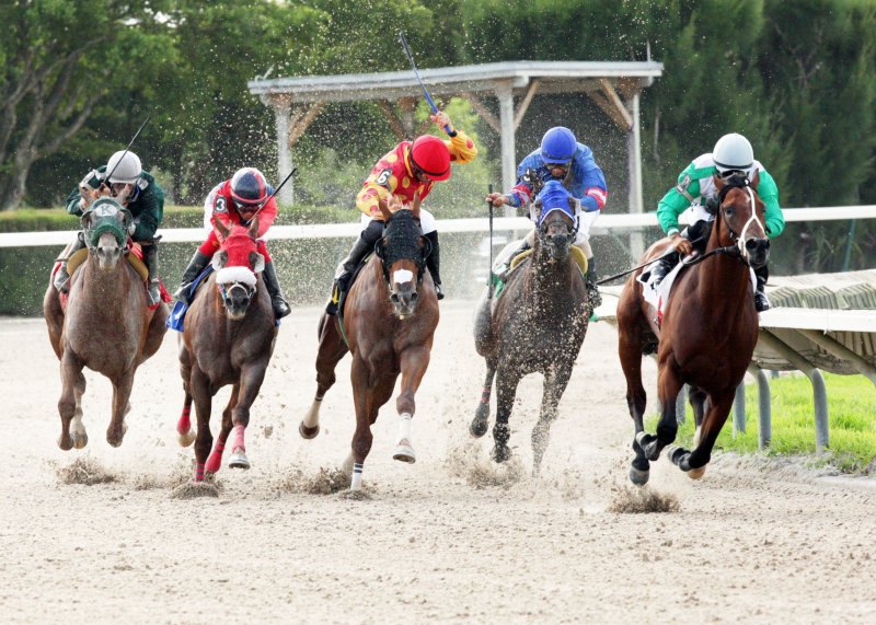 Ипподром Calder 2012 год, скачка El Kaiser Stakes