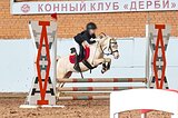 Уэльский жеребец 2012 гр