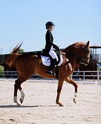 УЧИТЕЛЬ БОЛЬШОЙ ПРИЗ