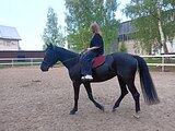 Кобыла 